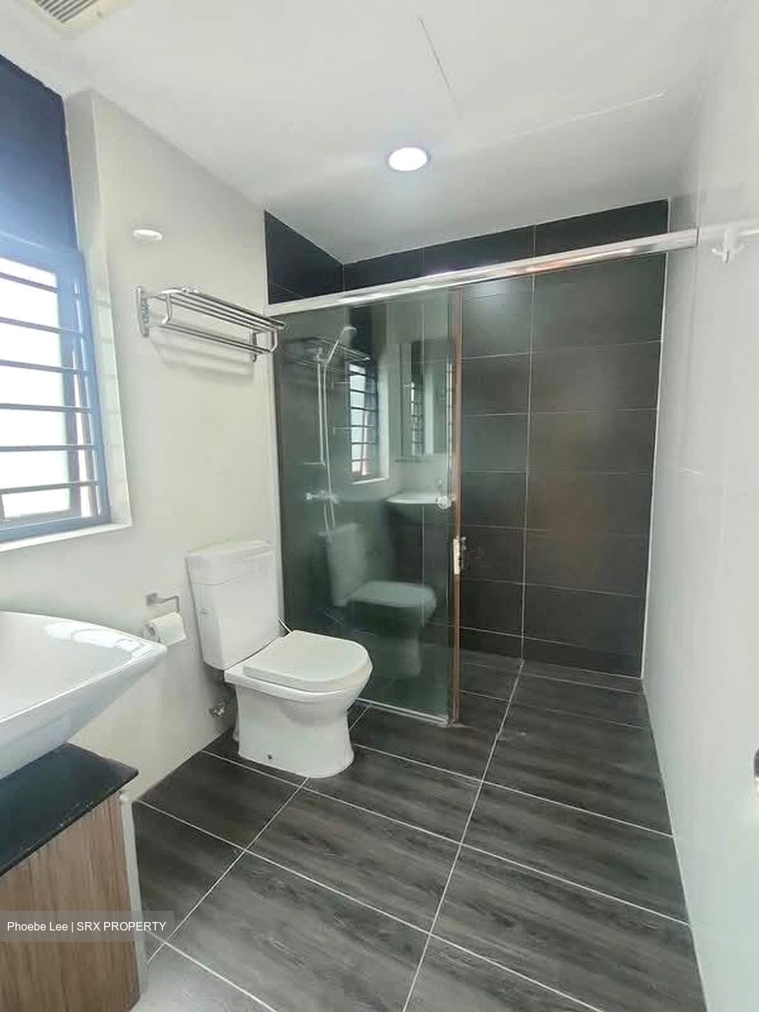 Nature Mansions (D15), Apartment #528291111